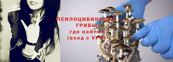 ПСИЛОЦИБИНОВЫЕ ГРИБЫ Алзамай