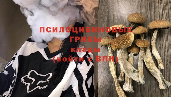 гидра Алексин