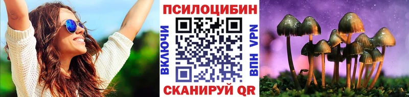 цена   kraken tor  Псилоцибиновые грибы Psilocybine cubensis  Ревда 